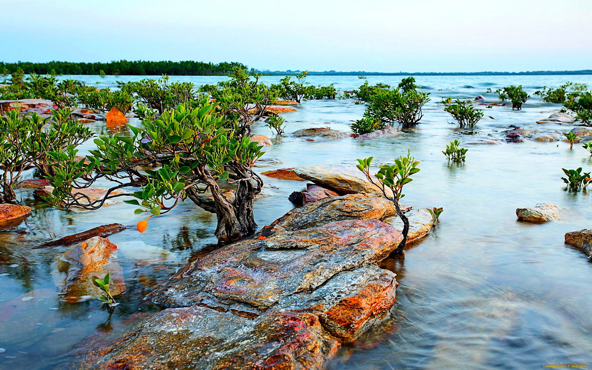 river, stones, , , , , , , 